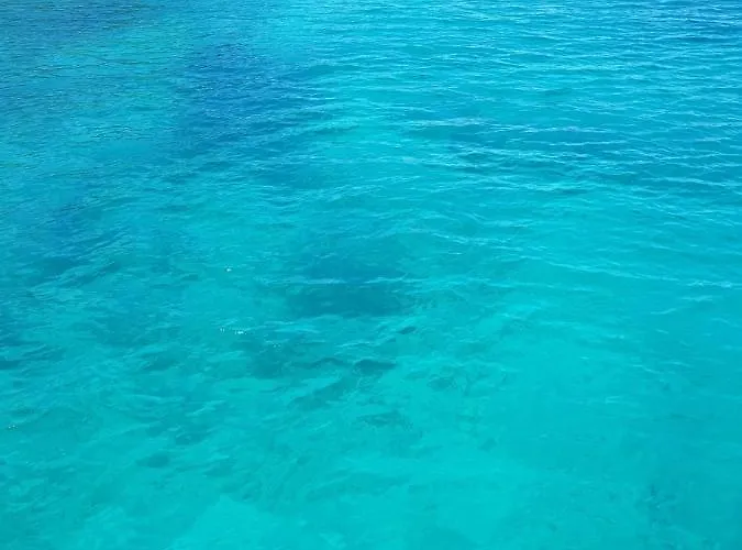 Leonardo 아파트 브르시