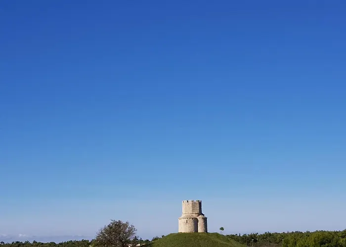 아파트 Leonardo 브르시