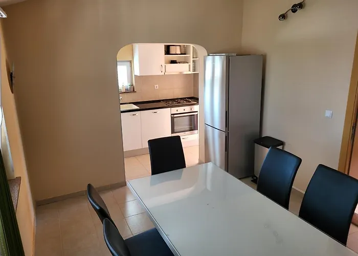 Leonardo * 브르시